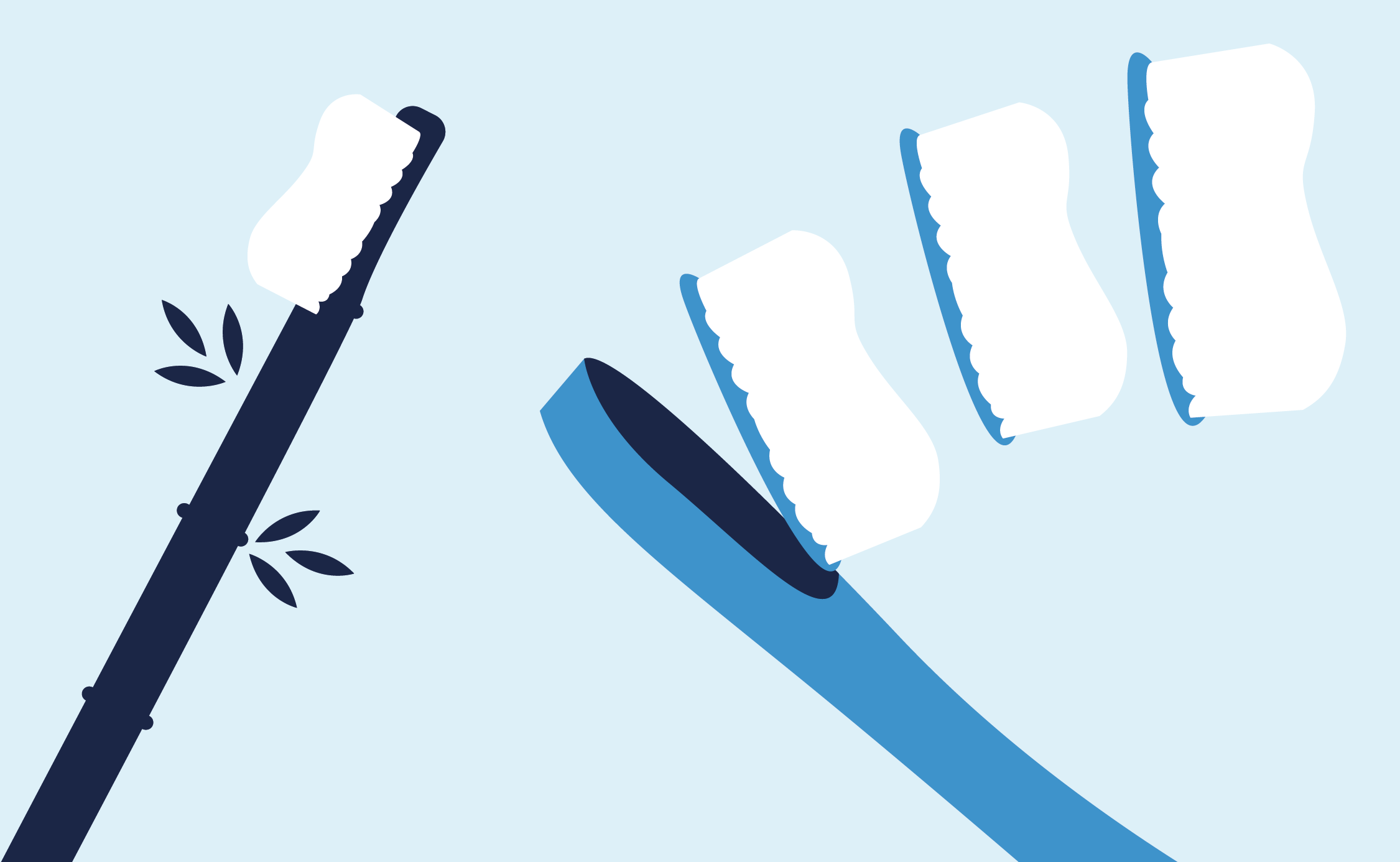 3 alternatives aux brosses à dents jetables en plastique
